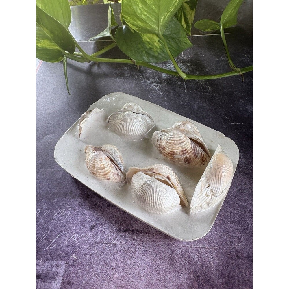 Handmade Soap Dish Cement Soap Holder Bathroom Kitchen Sea Shells